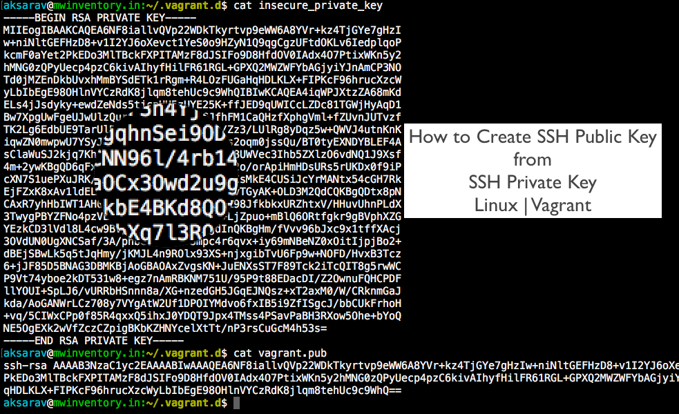 Natur Diplomatiske spørgsmål rygte How to create ssh public key from private key - Vagrant & Linux