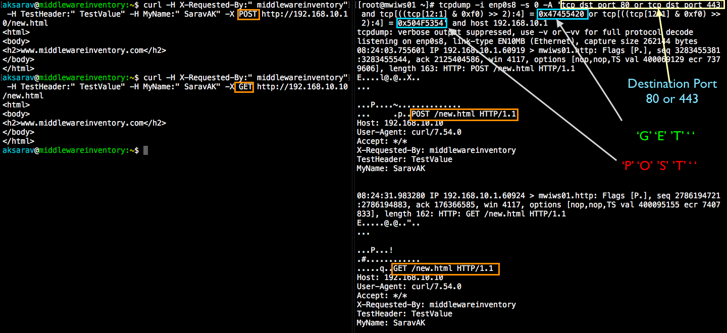Watchful Scan bryder ud TCPDump Capture HTTP GET/POST requests | Devops Junction