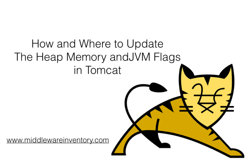 where to add JVM flags in tomcat