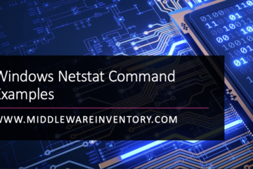windows netstat command