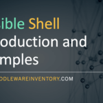 Ansible Shell