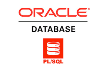 pl sql describe table