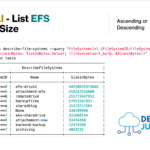 AWS CLI EFS List