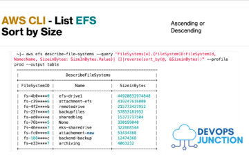 AWS CLI EFS List