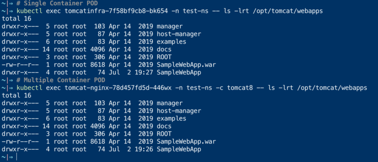kubectl exec examples - Execute Shell commands into a POD | K8s