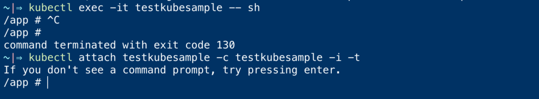 How to Exec into CrashLoopBackOff POD - Kubernetes | DevOpsJunction