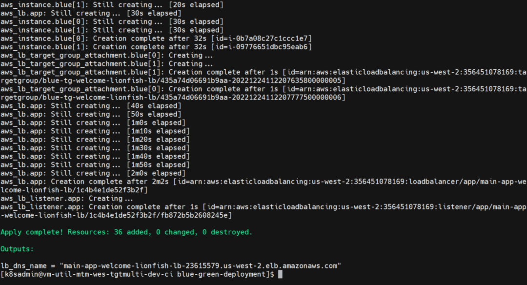 AWS Blue Green deployment and Canary tests using Terraform