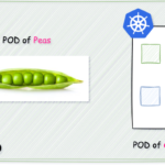 what is pod