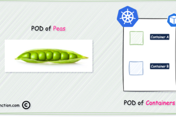 what is pod